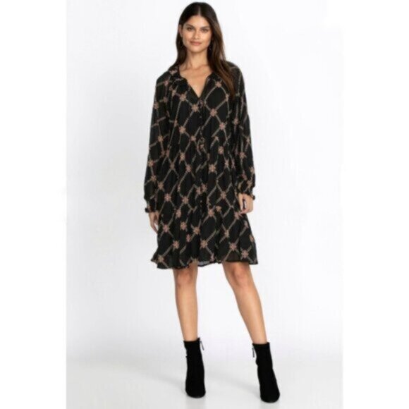 NWT Johnny Was Jackie Mini Long Sleeve Sheer Dress - Picture 3 of 16
